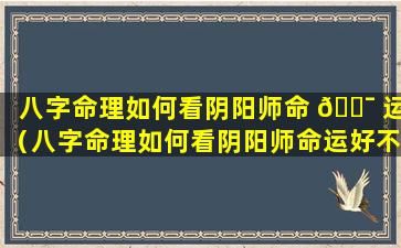 八字命理如何看阴阳师命 🐯 运（八字命理如何看阴阳师命运好不好）